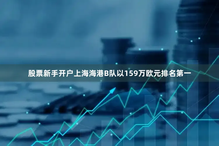 股票新手开户上海海港B队以159万欧元排名第一