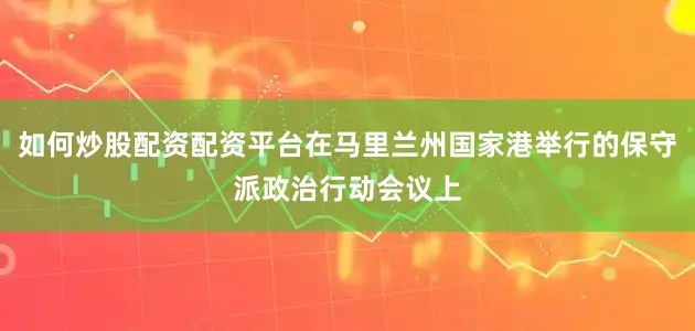 如何炒股配资配资平台在马里兰州国家港举行的保守派政治行动会议上