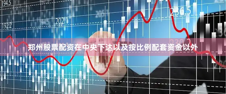 郑州股票配资在中央下达以及按比例配套资金以外