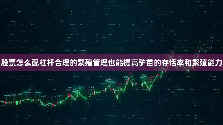 股票怎么配杠杆合理的繁殖管理也能提高驴苗的存活率和繁殖能力