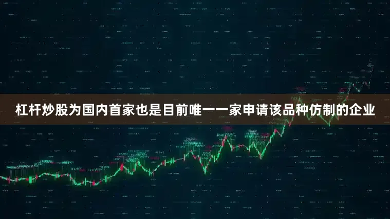 杠杆炒股为国内首家也是目前唯一一家申请该品种仿制的企业