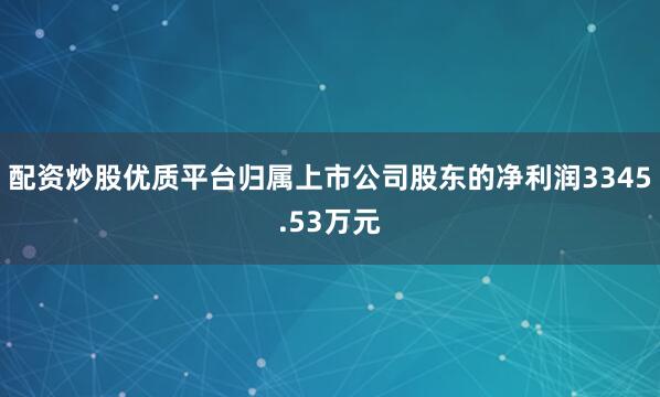 配资炒股优质平台归属上市公司股东的净利润3345.53万元